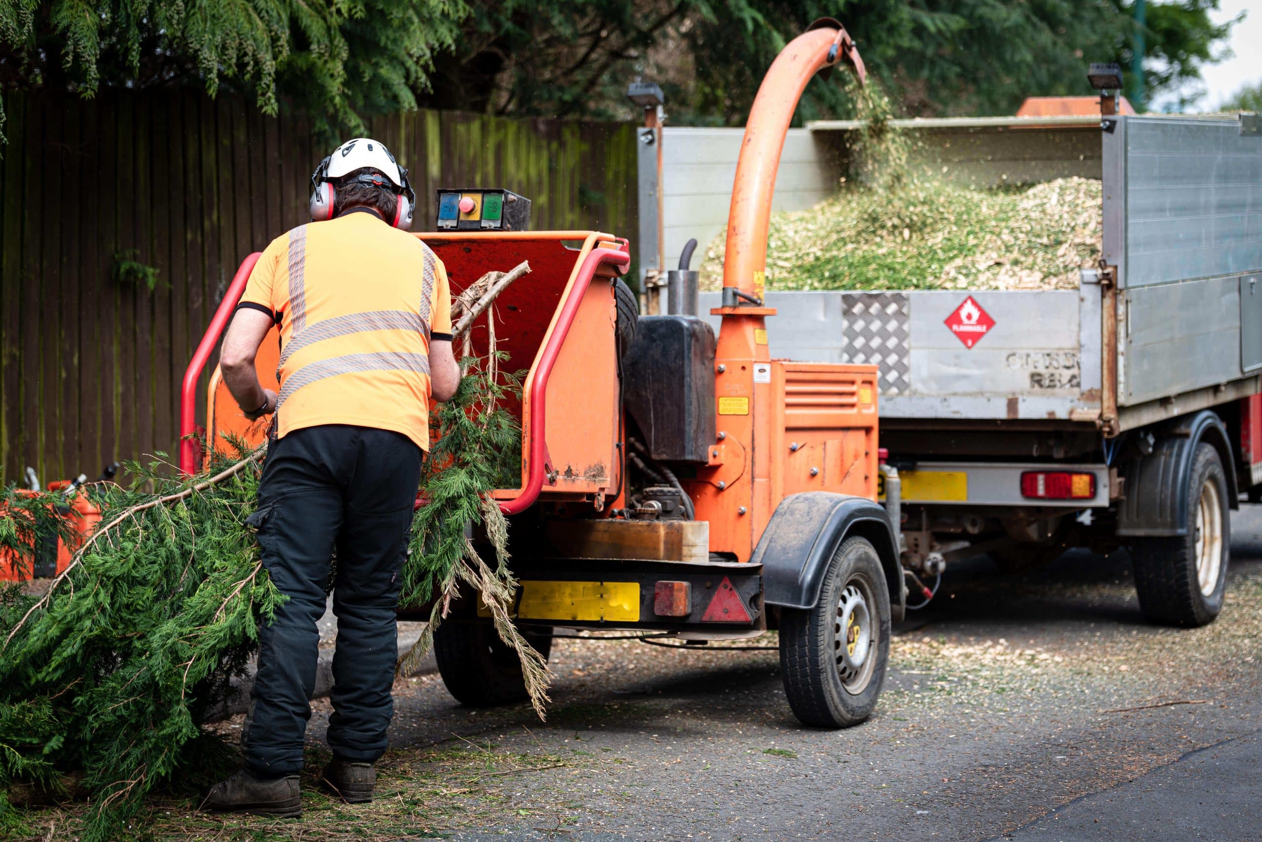 Tree Stump Grinding/Removal Wallington SM6